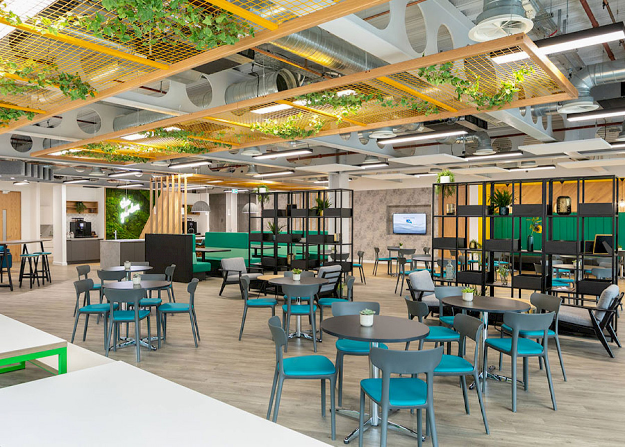 The Canova chairs welcome employees to the new working café. Image: Connection, Flokk Group