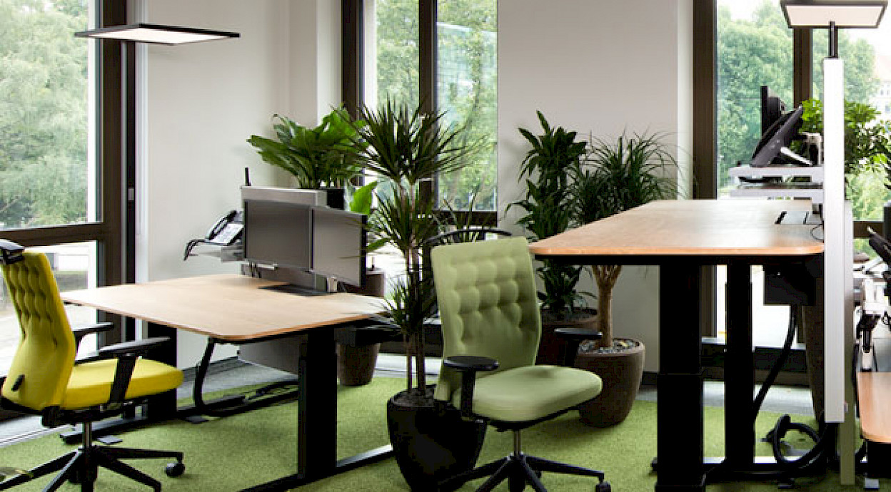 Green Office – Kombination von Funktionalität und Wohlbefinden