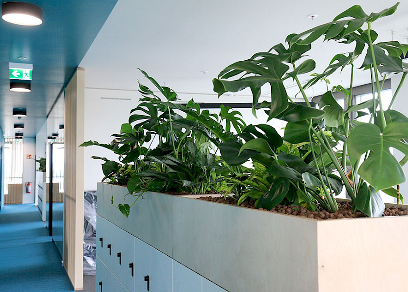 Schließfächer in Sideboards dienen als Basis für Indoor-Bepflanzungen, Bild: ©CONET