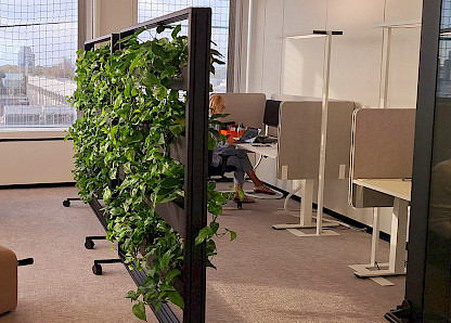 Agile Arbeitsplätze mit mobilen Pflanzenmodulen fördern Konzentration und Wohlbefinden.