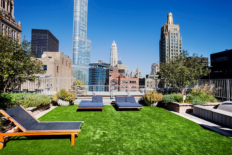 Roofs and façades are attractive spaces for the greening of cities.