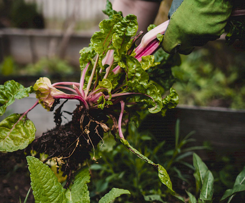 New Work? Employees can plant some of their food themselves. Image: Jonathan Kemper