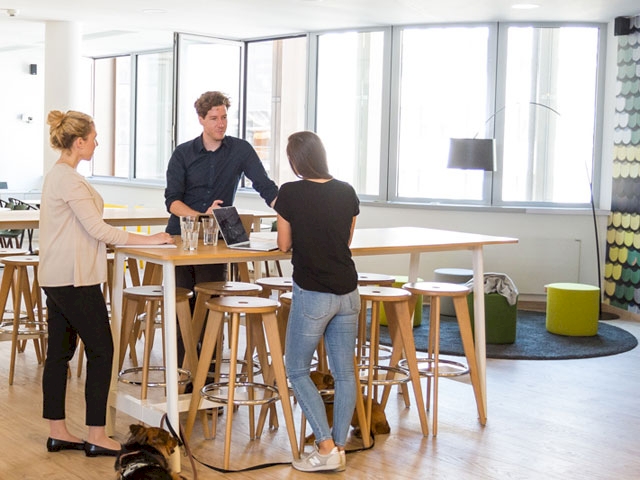 Elemente des Coworkings werden zunehmend in die eigene Arbeitsumgebung übernommen.