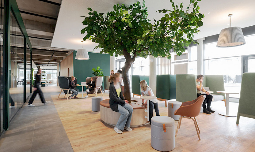 Open-plan office, the combined waiting and counselling area